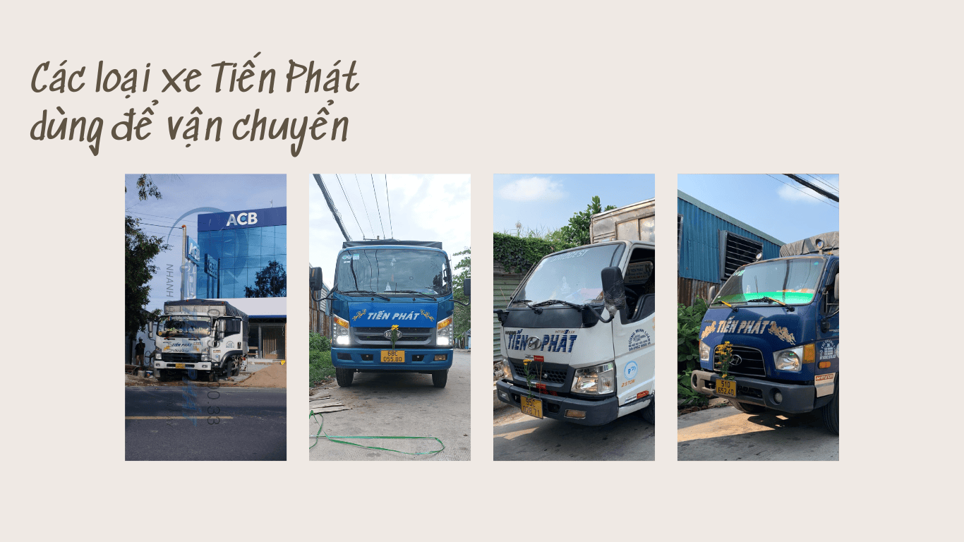 các loại xe chành xe tiến phát dùng để vận chuyển 