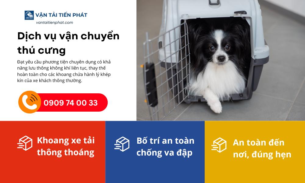 Dịch vụ vận chuyển thú cưng đi Cần Thơ
