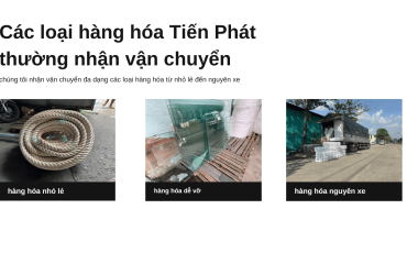 Thuê Xe Tải Chở Hàng Từ TP HCM Đi Đồng Tháp Nhanh Chóng 24/7