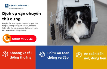 Dịch vụ vận chuyển thú cưng Cần Thơ: Bảng giá và quy trình gửi chó mèo an toàn 24h