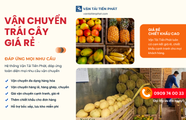 Dịch vụ vận chuyển trái cây Cao Lãnh - TPHCM giá rẻ, uy tín