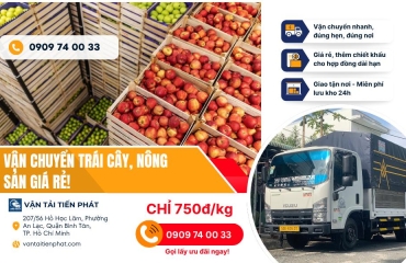 Dịch vụ vận chuyển trái cây Cần Thơ đi TPHCM giá rẻ, uy tín